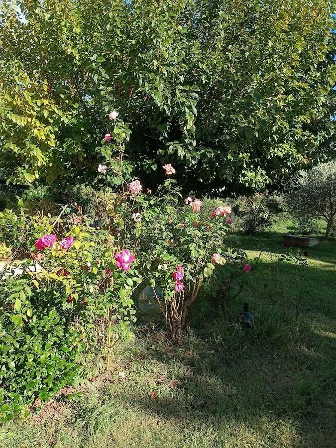 Holiday home Mas De L'Amourie Villa Solerieux